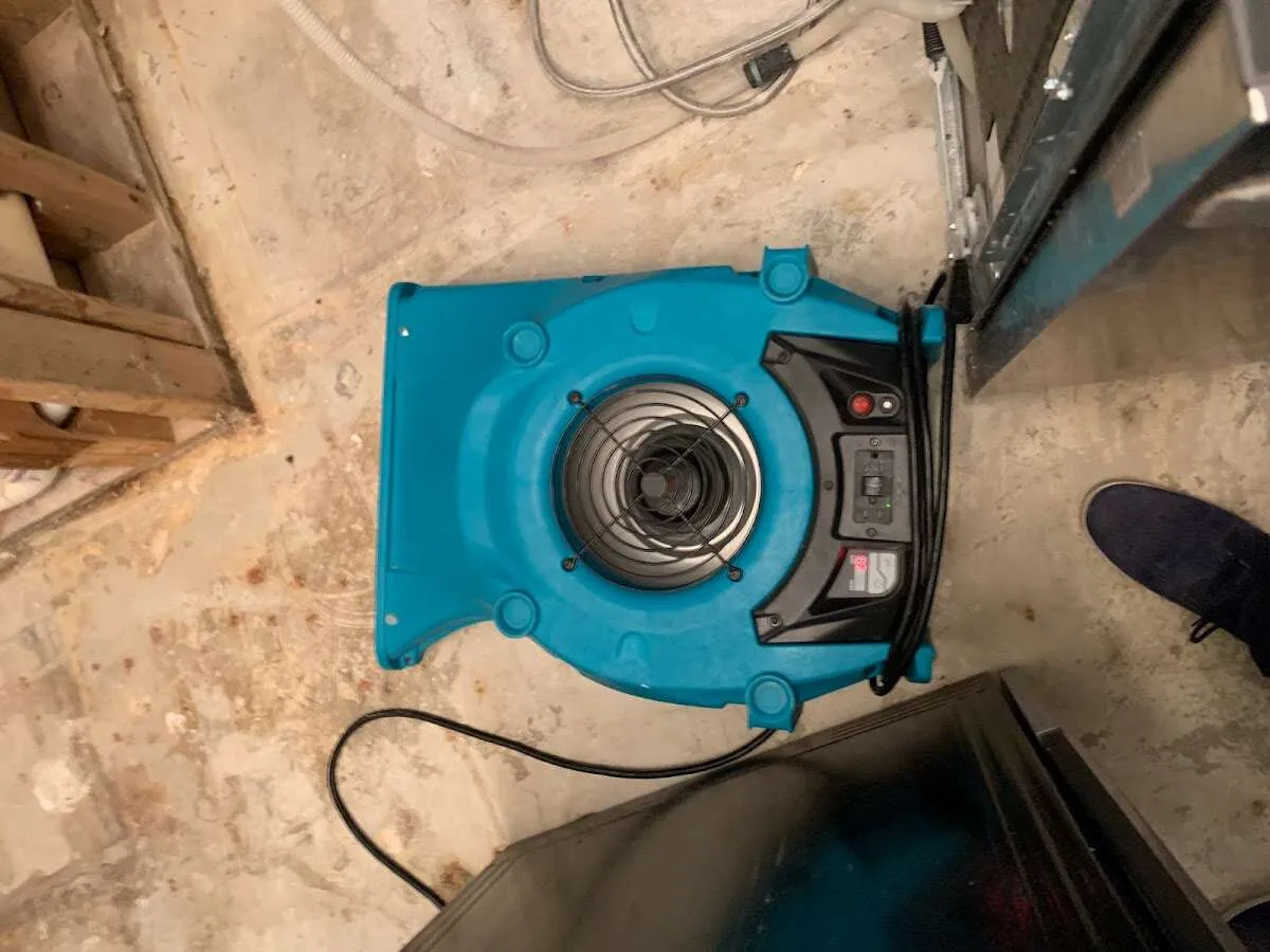 Air mover drying equipment for Mold Remediation & Removal in Green Cove Springs